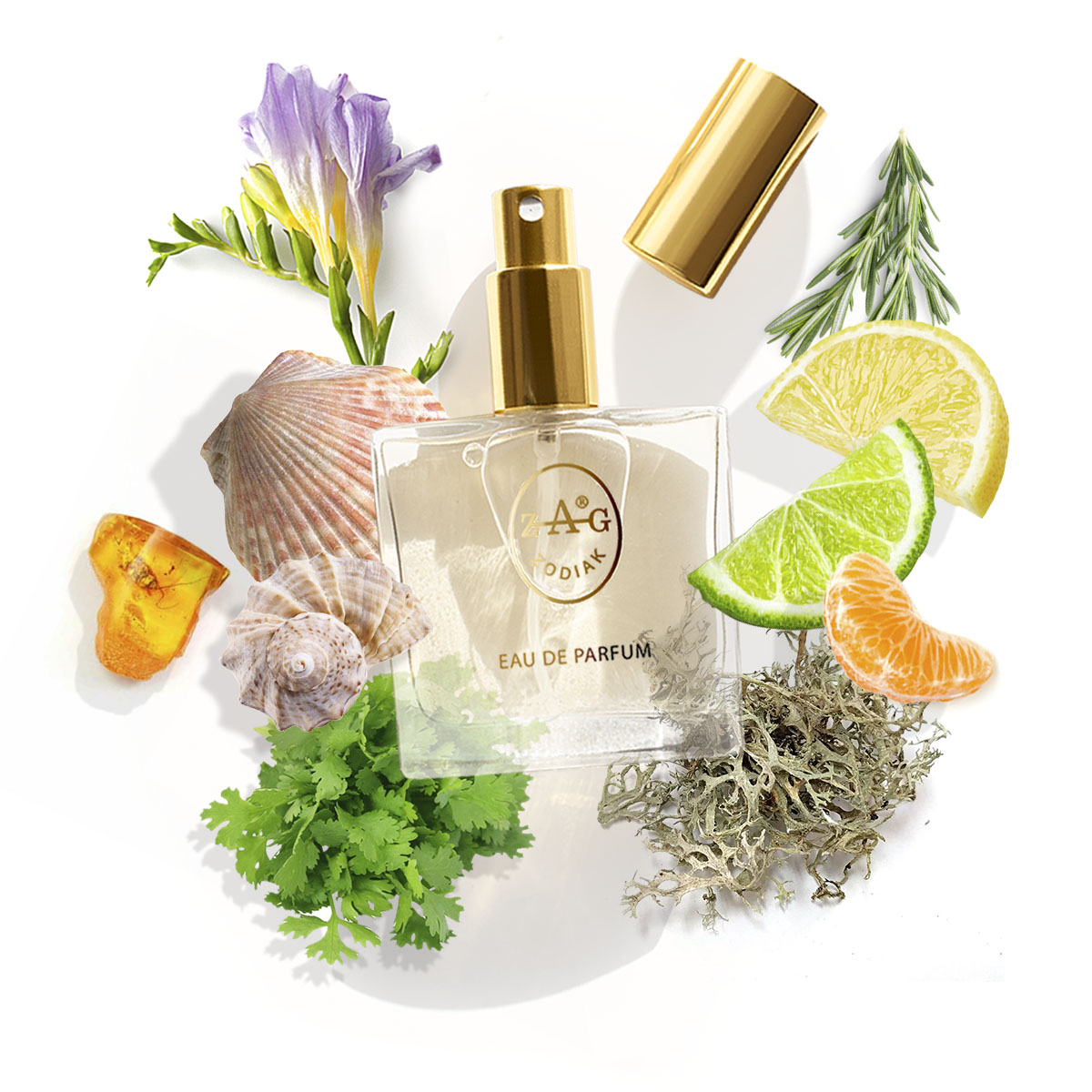 ZAG Zodiak 127 AQ Eau de Parfum
