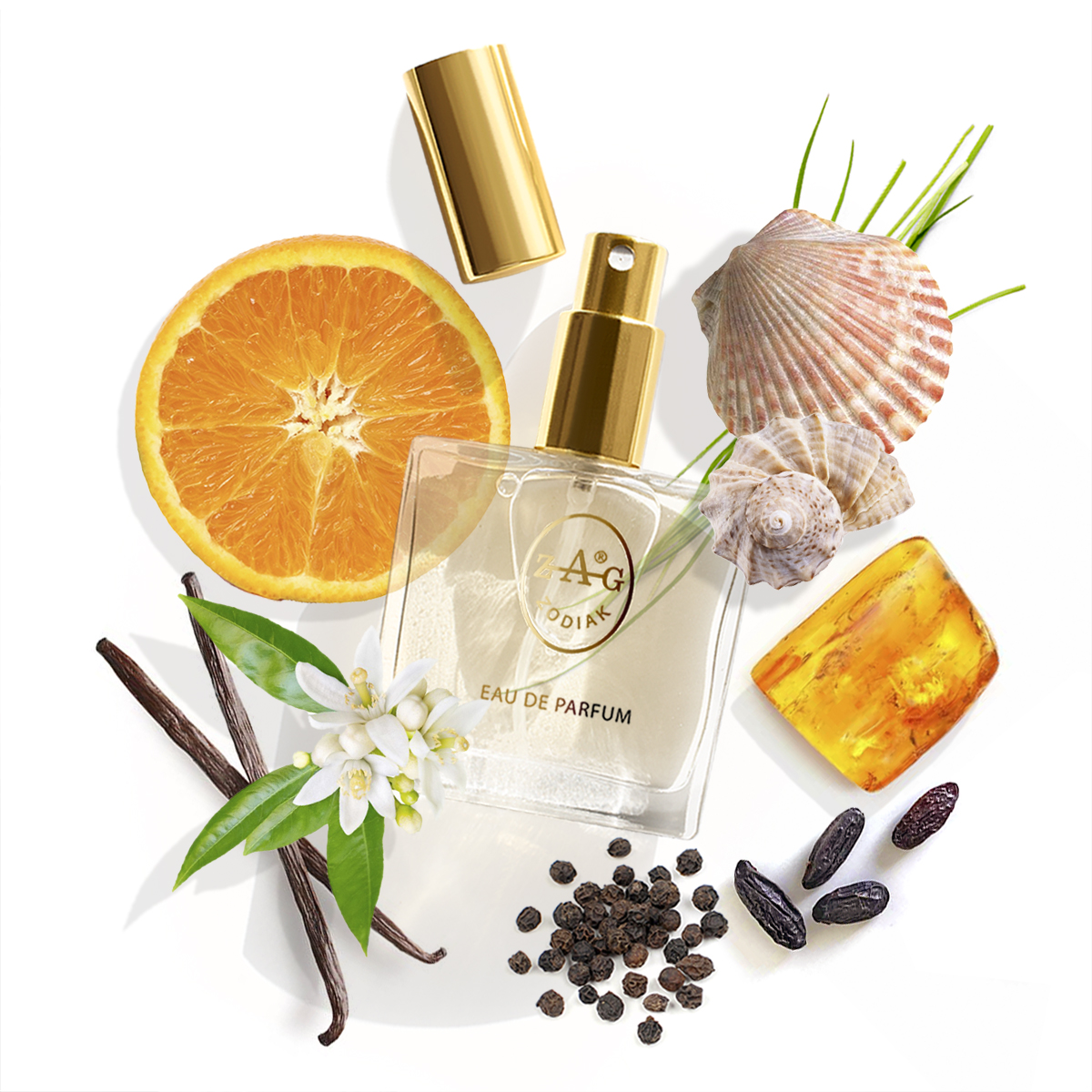 ZAG Zodiak 164 AS Eau de Parfum