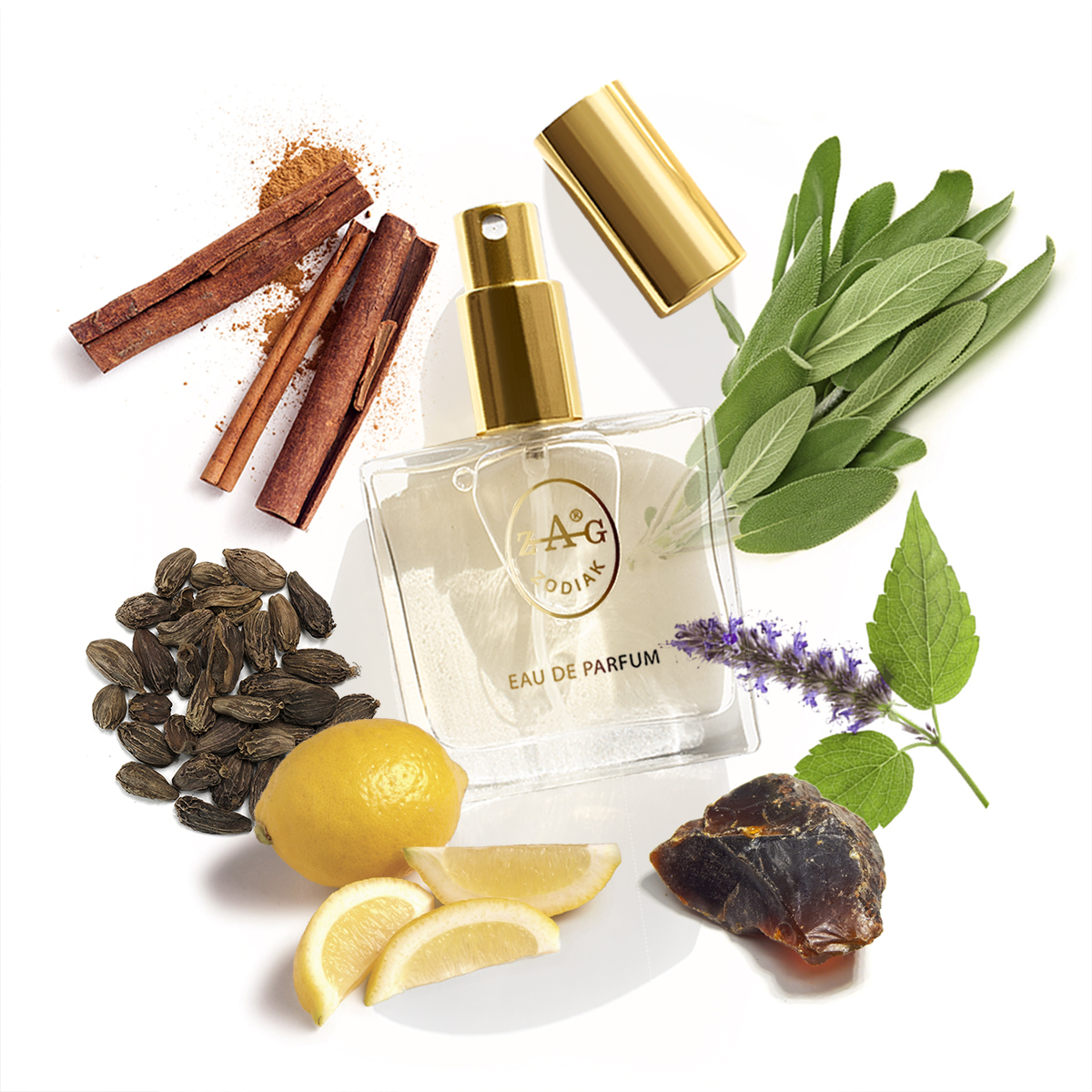 ZAG Zodiak 170 RX Eau de Parfum