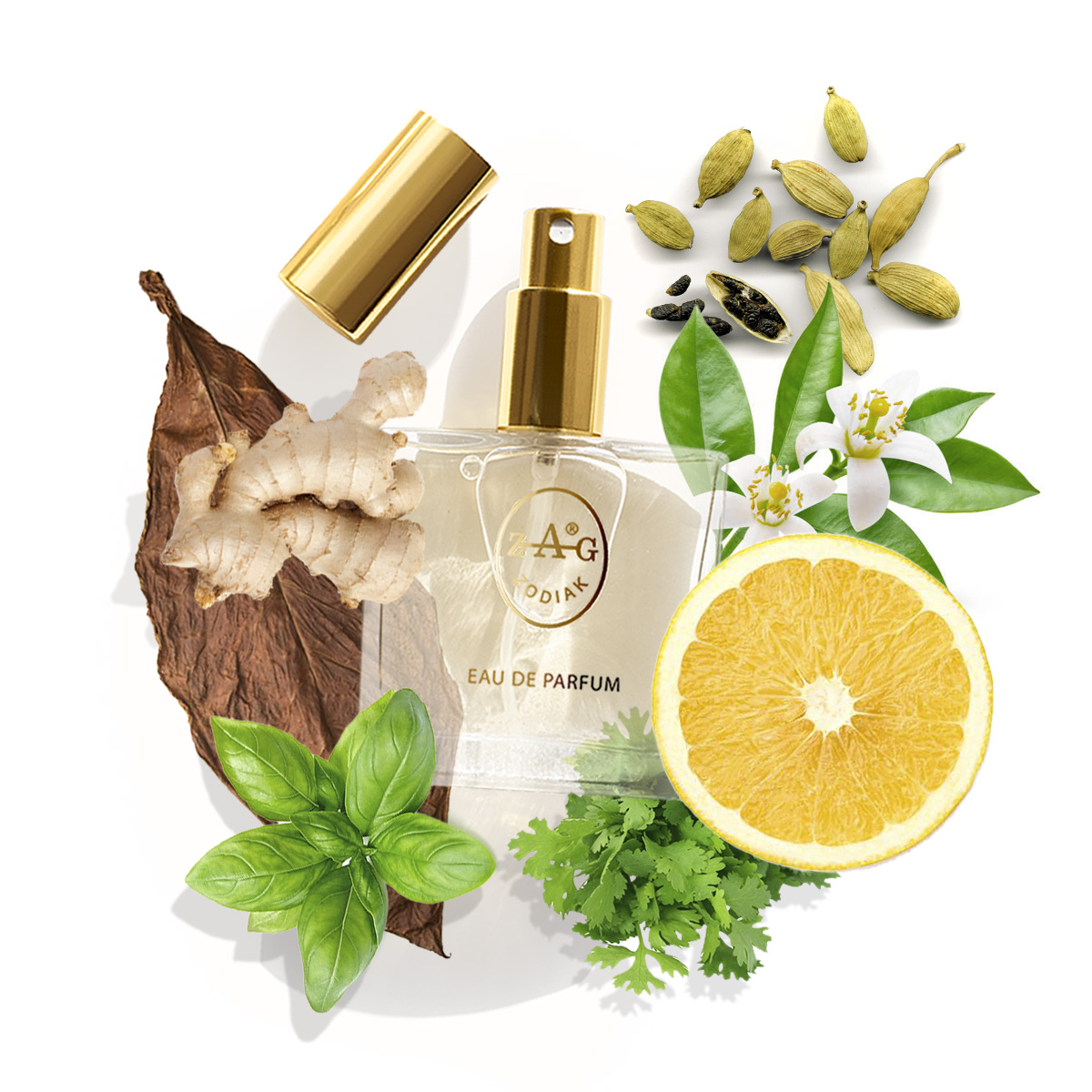 ZAG Zodiak 195 TO Eau de Parfum
