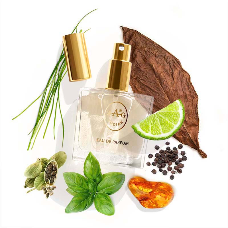ZAG Zodiak 208 TF Eau de Parfum