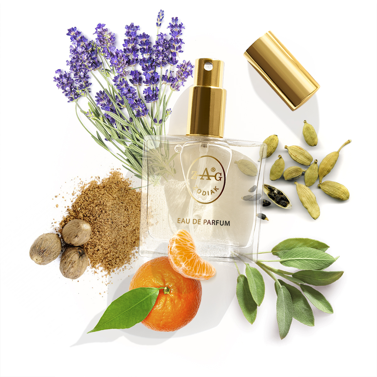 ZAG Zodiak 273 MI Eau de Parfum