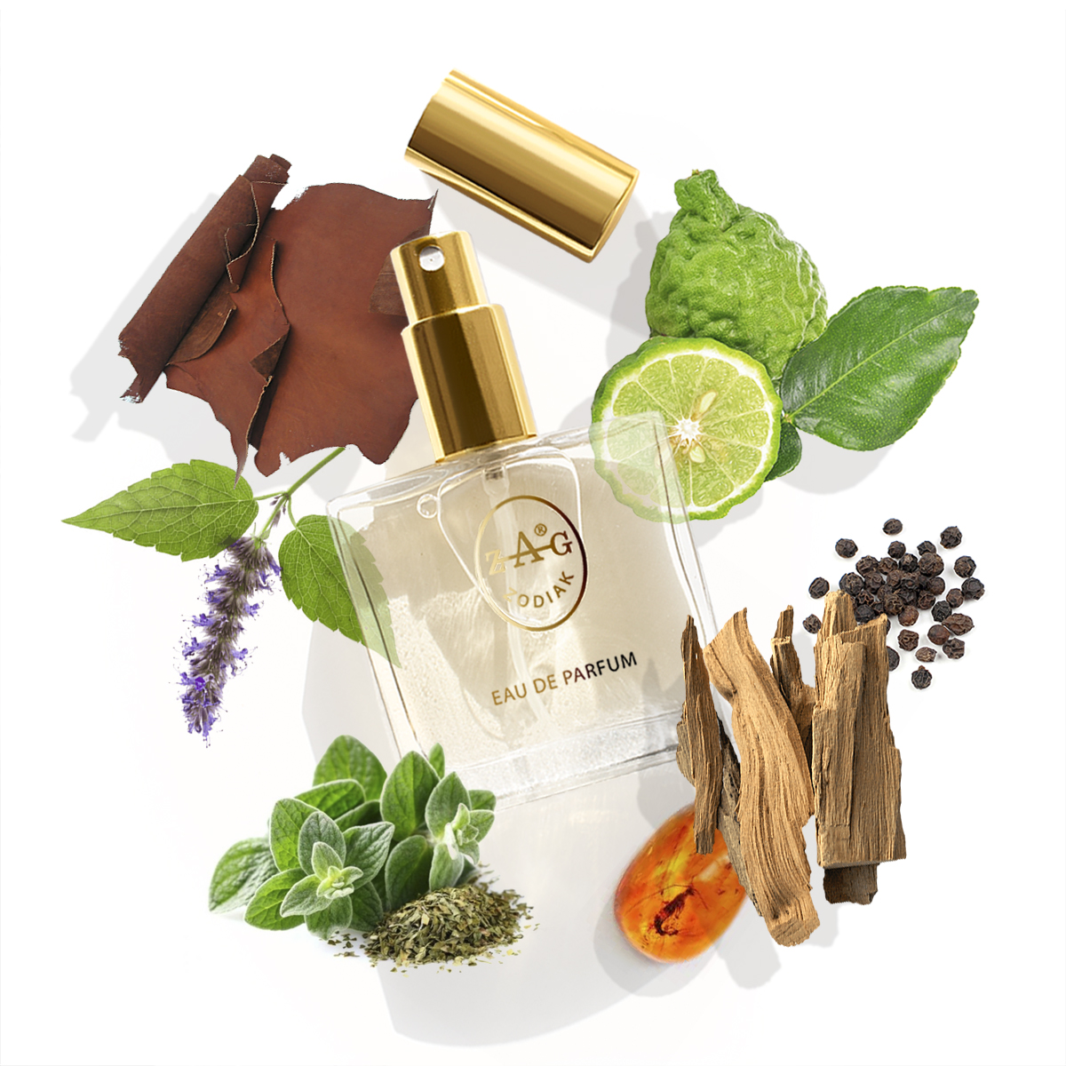 ZAG Zodiak 274 IA Eau de Parfum