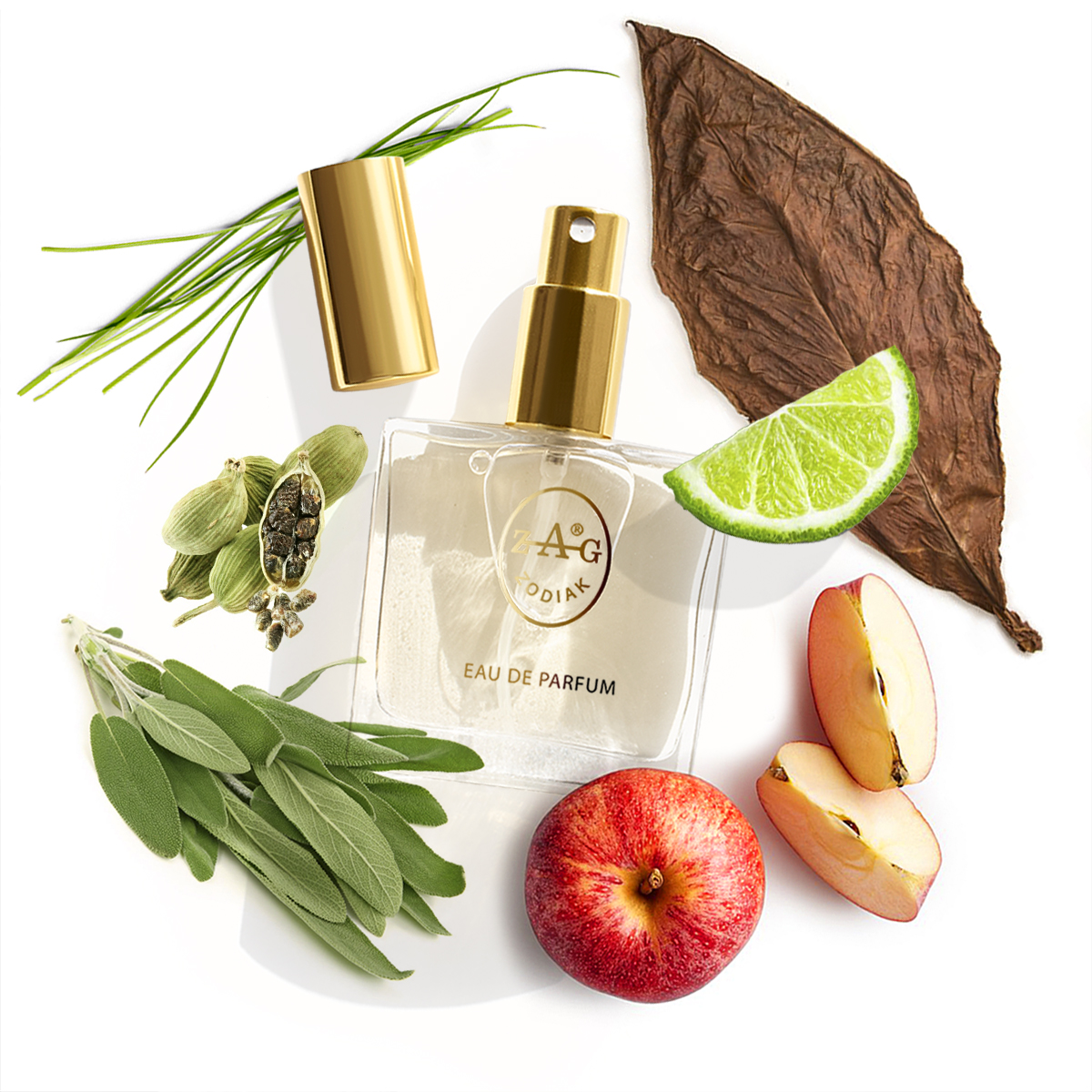 ZAG Zodiak 275 VA Eau de Parfum