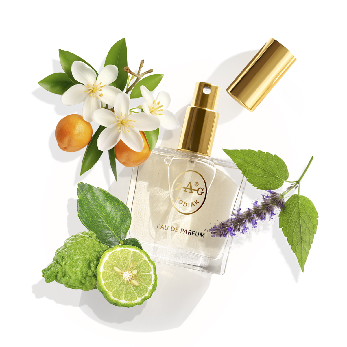 ZAG Zodiak 279 MS Eau de Parfum
