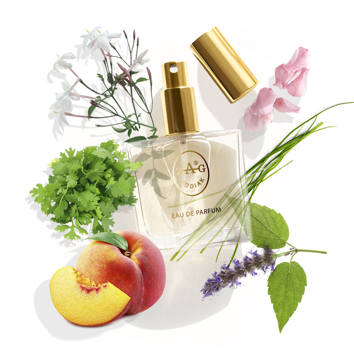 ZAG Zodiak 34 GU Eau de Parfum