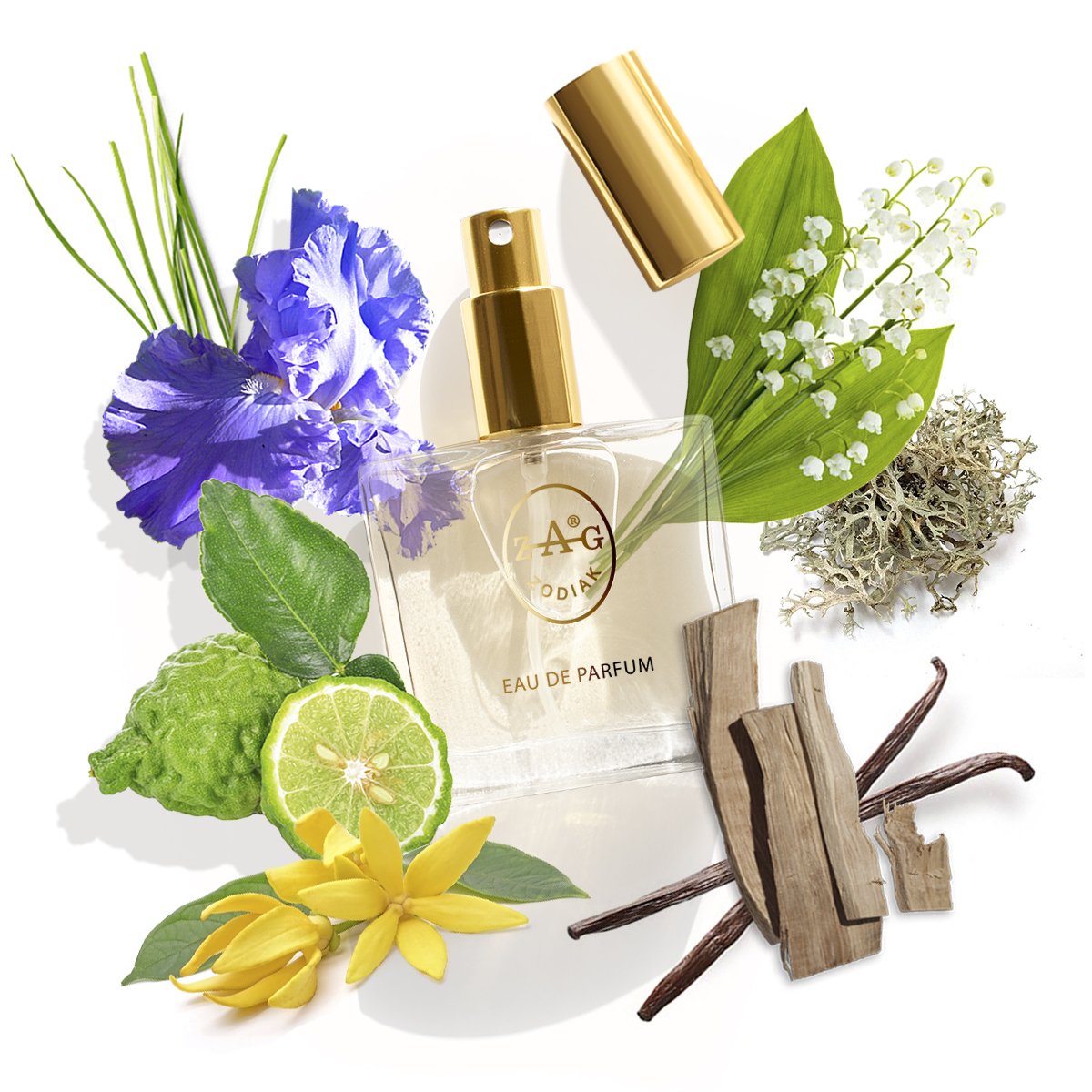 ZAG Zodiak 41 CL Eau de Parfum