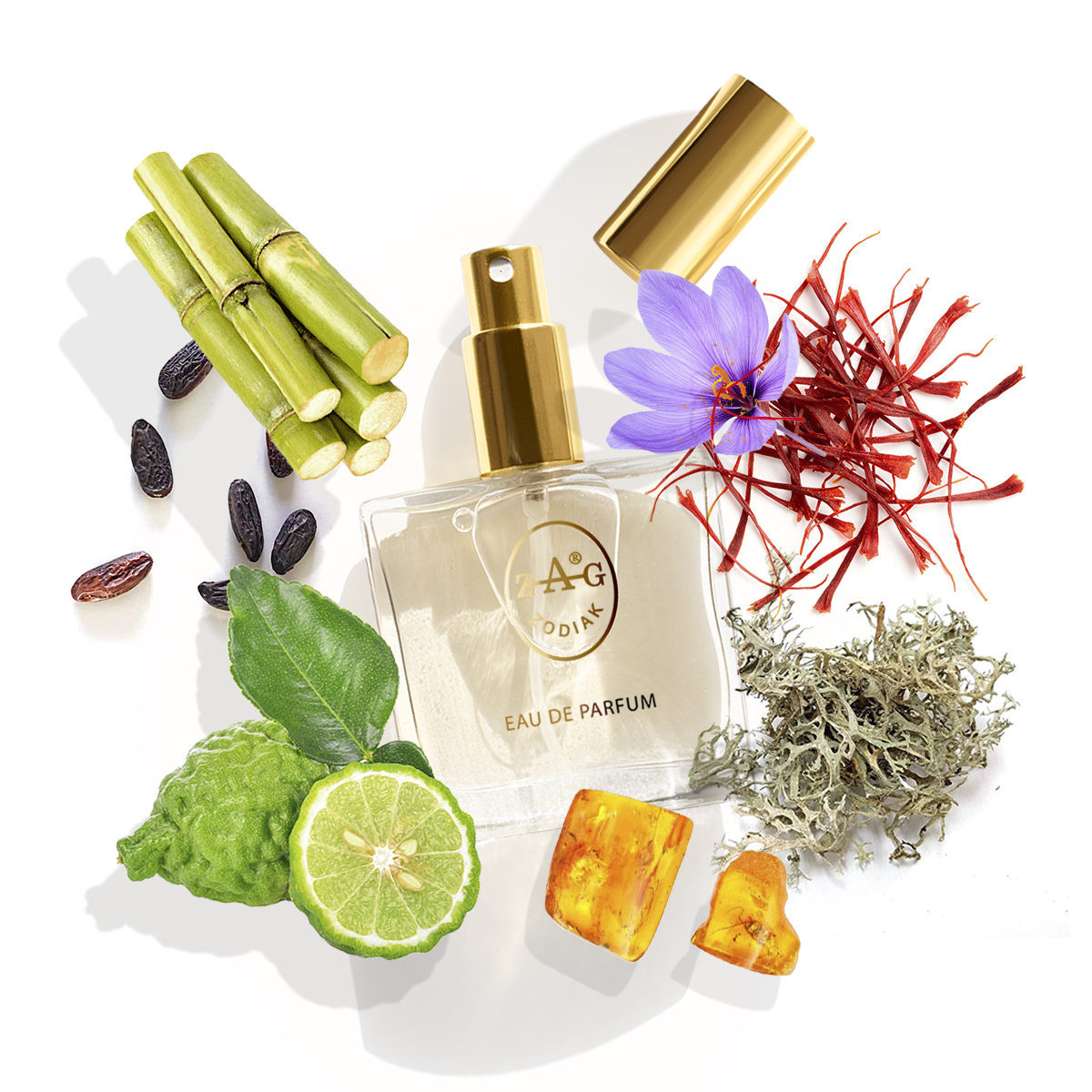 ZAG Zodiak 110 MA Eau de Parfum