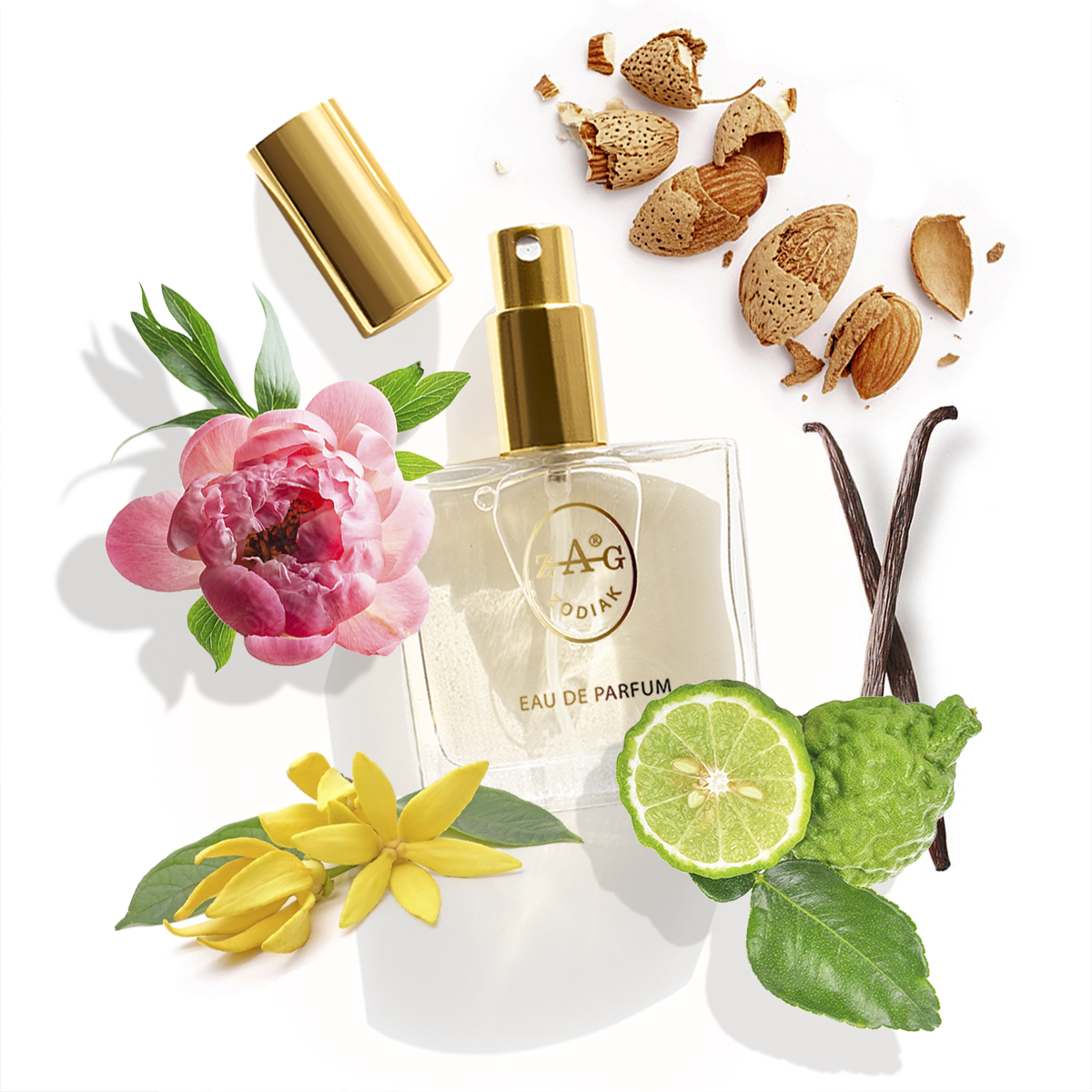 ZAG Zodiak 594 BL Eau de Parfum