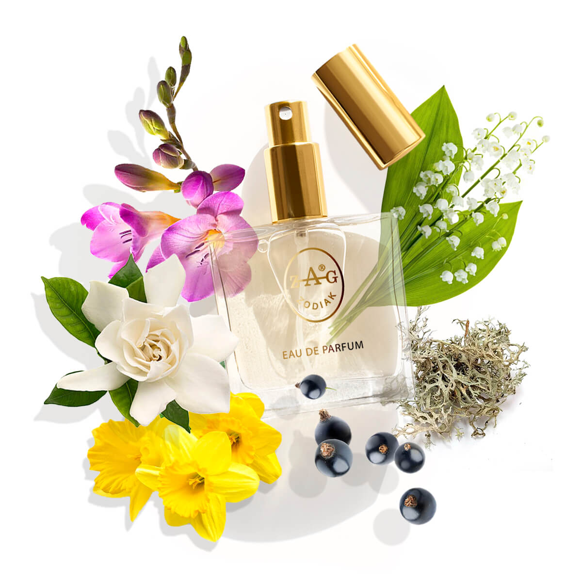 ZAG Zodiak 10 GR2 Eau de Parfum